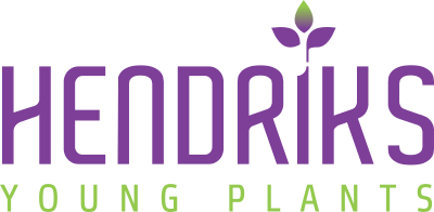 Hendriks Young Plants